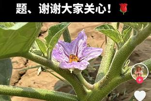 攻防兼备！贺希宁三分8中6砍下29分8板7助 抢断多达6次